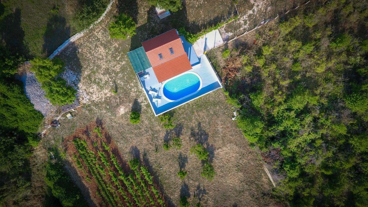 Villa Baras Garden - House With Pool Mirce Exteriér fotografie